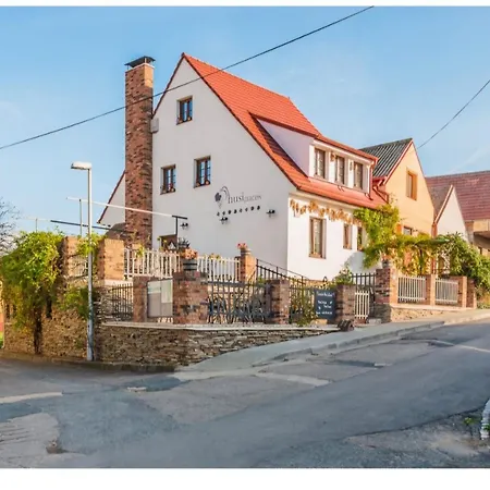 Husi Placek S Vinnym Sklepem A Terasou Guest house *