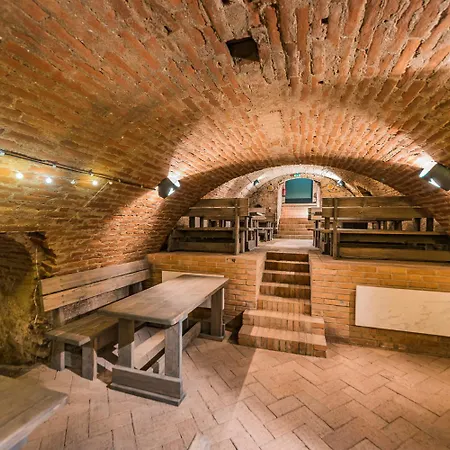 Husi Placek S Vinnym Sklepem A Terasou Guest house *