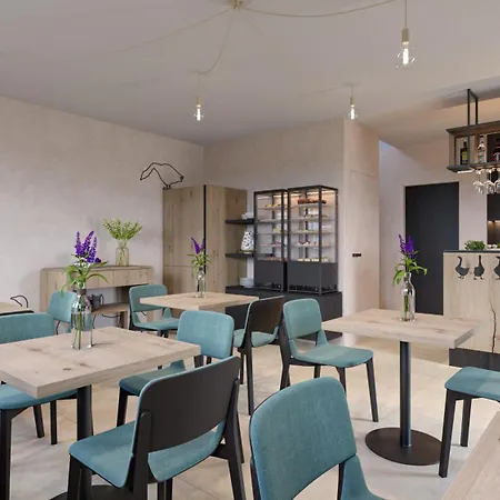 Husi Placek S Vinnym Sklepem A Terasou Guest house