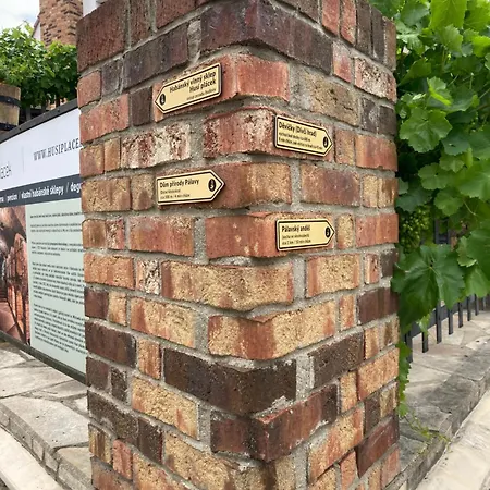 Husi Placek S Vinnym Sklepem A Terasou Πανσιόν Dolni Vestonice