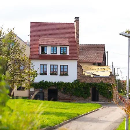 Husí Plácek S Vinným Sklepem A Terasou 3* Dolni Vestonice