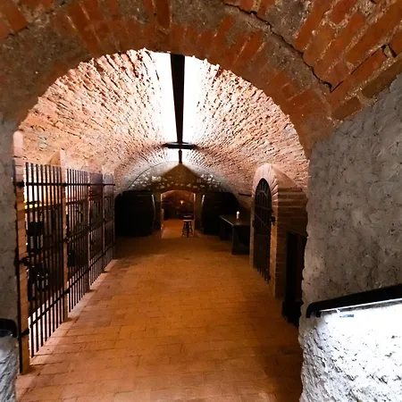 Penzion Husí Plácek S Vinným Sklepem A Terasou