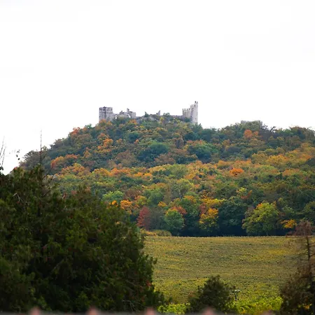 Husí Plácek S Vinným Sklepem A Terasou Dolni Vestonice