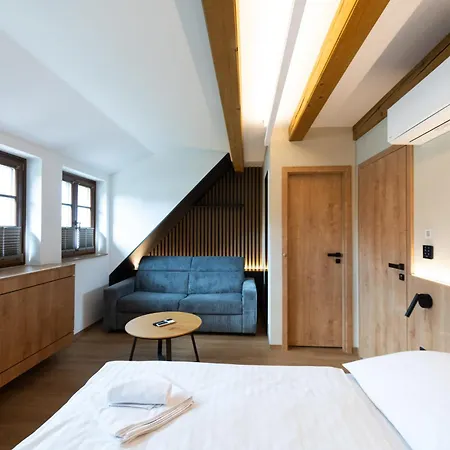 Maison d'hôtes Husi Placek Dolni Vestonice