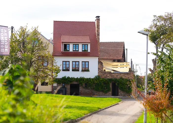 Husí Plácek S Vinným Sklepem A Terasou 3* Dolni Vestonice