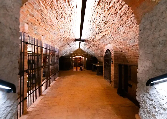Husí Plácek S Vinným Sklepem A Terasou